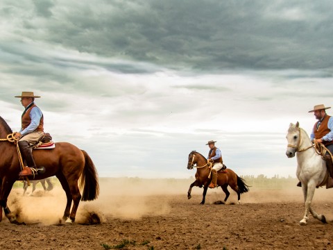 a group of people riding horses