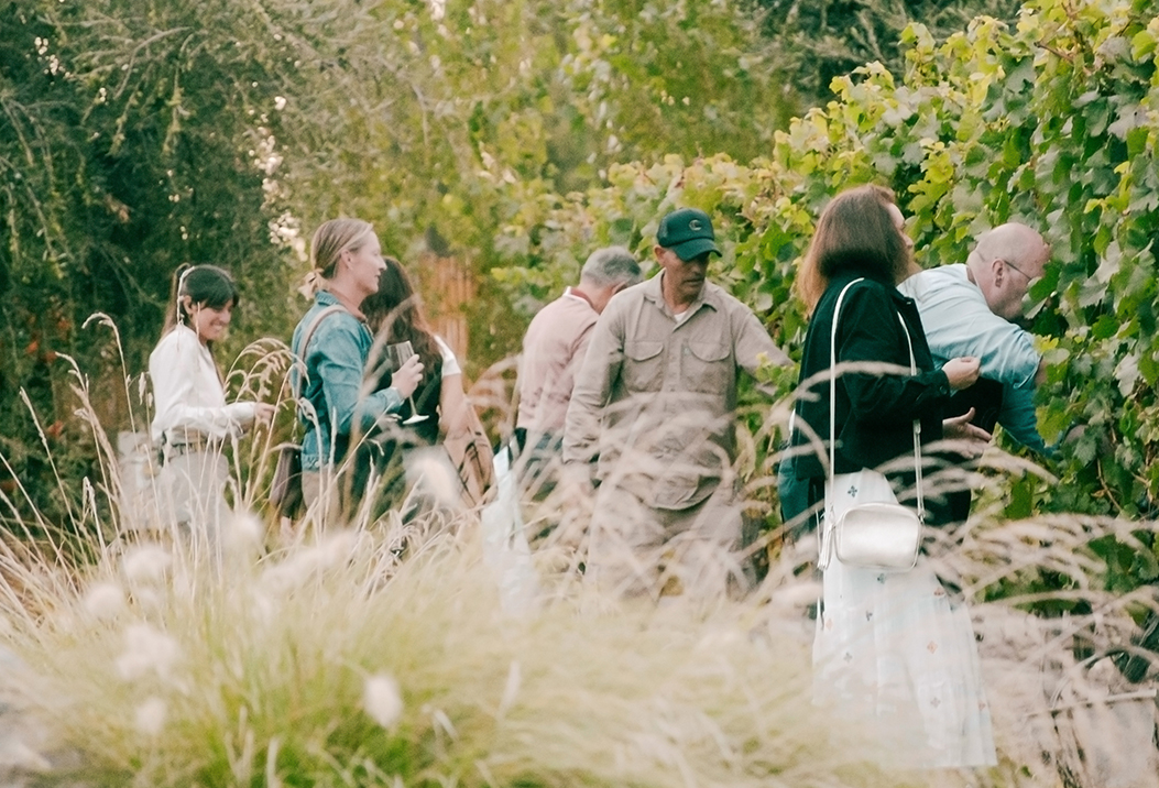 a group of people walking in a field