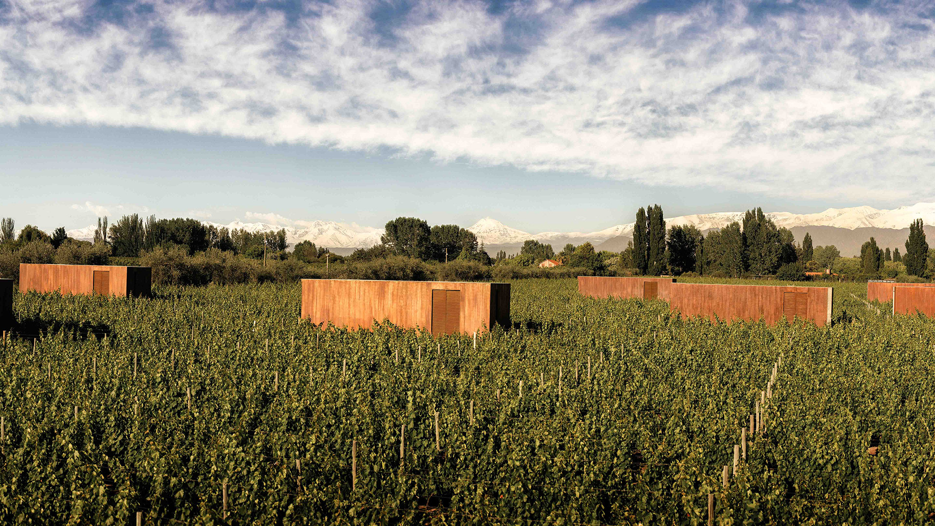 a building in a field