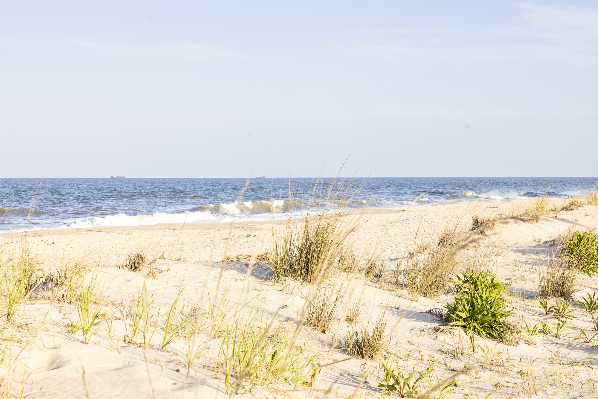 a sandy beach with grass and water in the background
