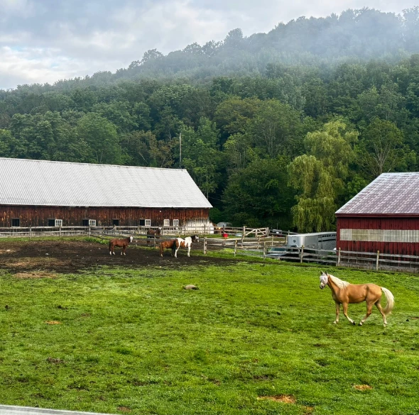 Kedron Valley Inn