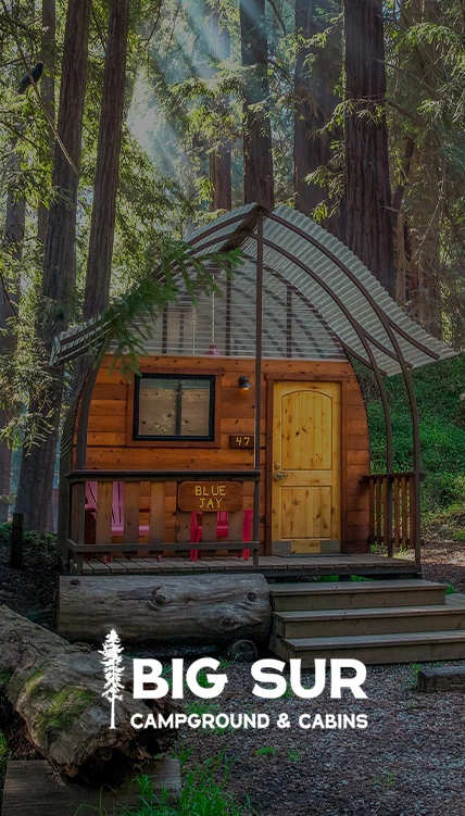 a small wooden house in the woods
