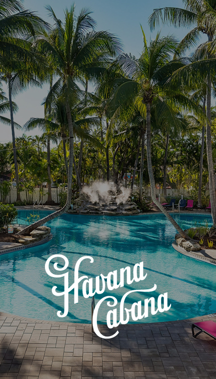 a pool with palm trees and a hot spring