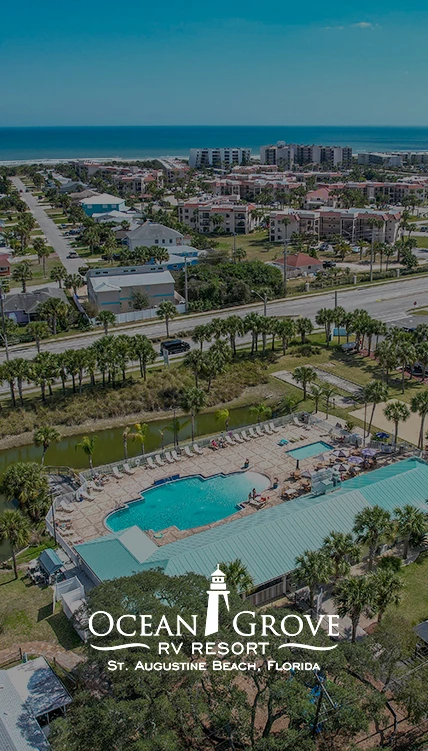 a pool and a road with palm trees