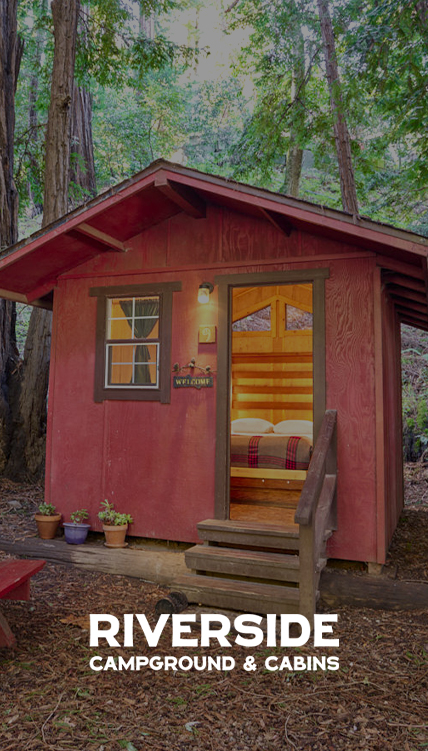 a small red cabin in the woods