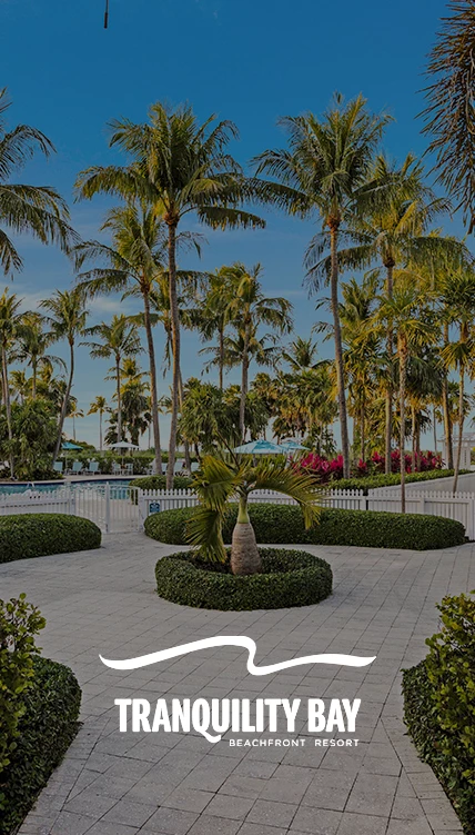 a pool with palm trees and a white fence