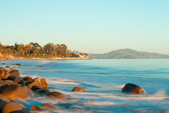 a rocky beach with trees in the background