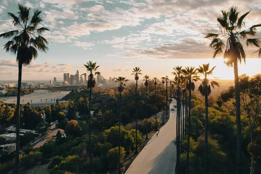 aerial view of beverly hills with a skyline in the background