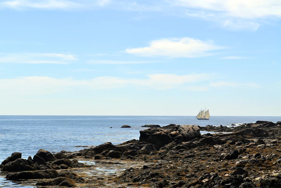 a view of a sailboat on the ocean with a rocky shore
