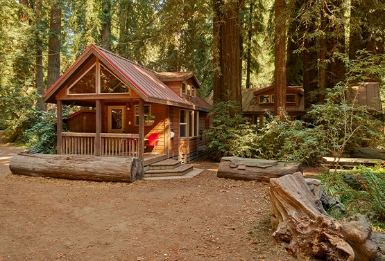 Big Sur Campground & Cabins