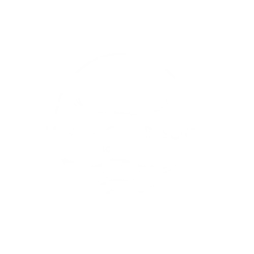 a logo with a bird and waves