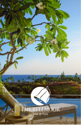 a lounge chair under a tree