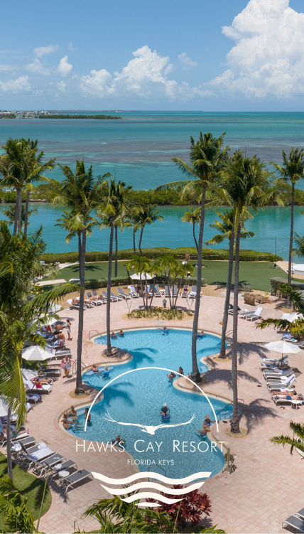 a pool with palm trees and a body of water