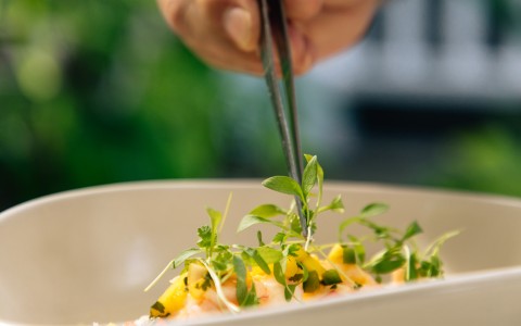 a person holding a pair of tweezers over a food dish
