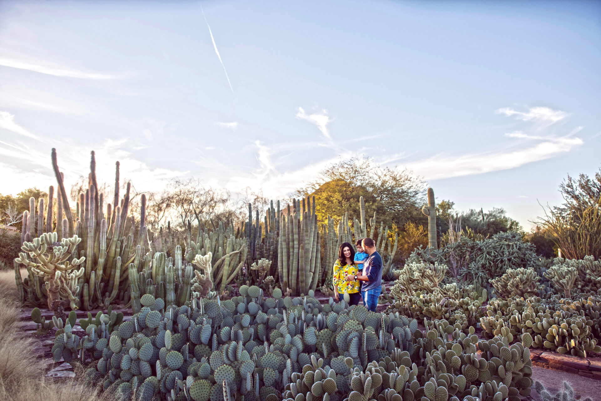 A happy couple with their child in the middle of cactus
