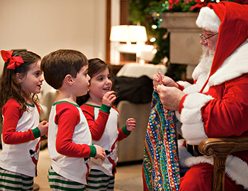 image Ultimate Santa Package