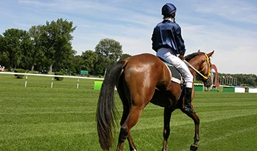 a polo player riding a brown horse in a field