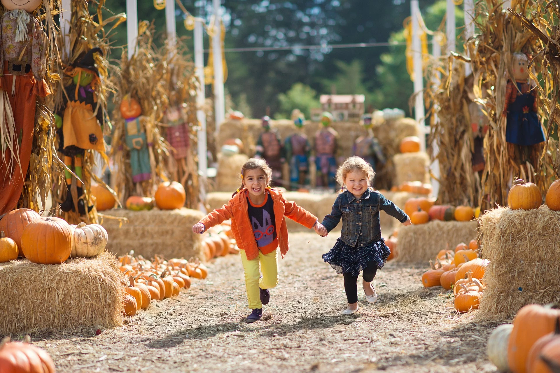 two girls running in a pumpkin patch