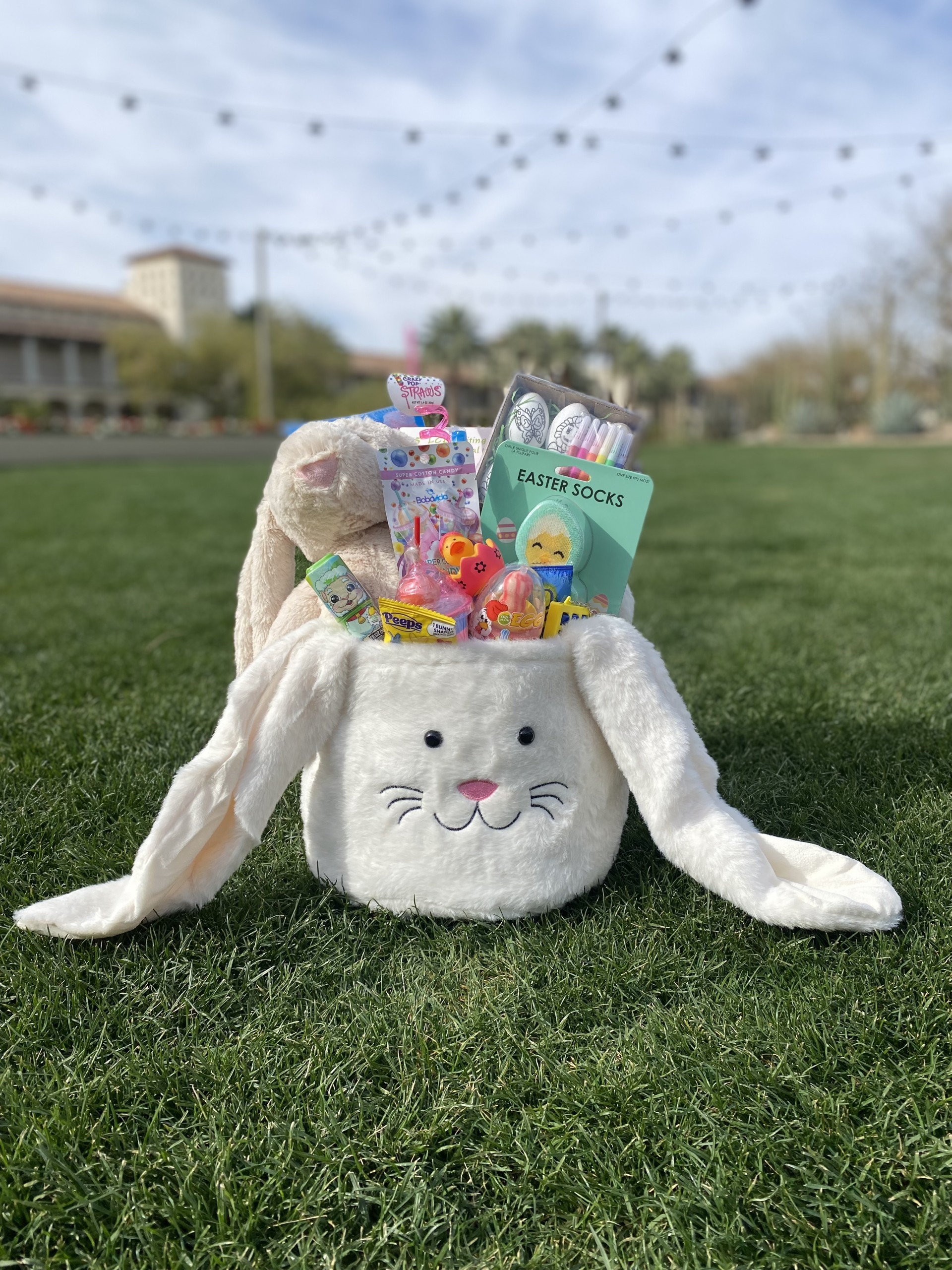 a basket of candy and a bunny