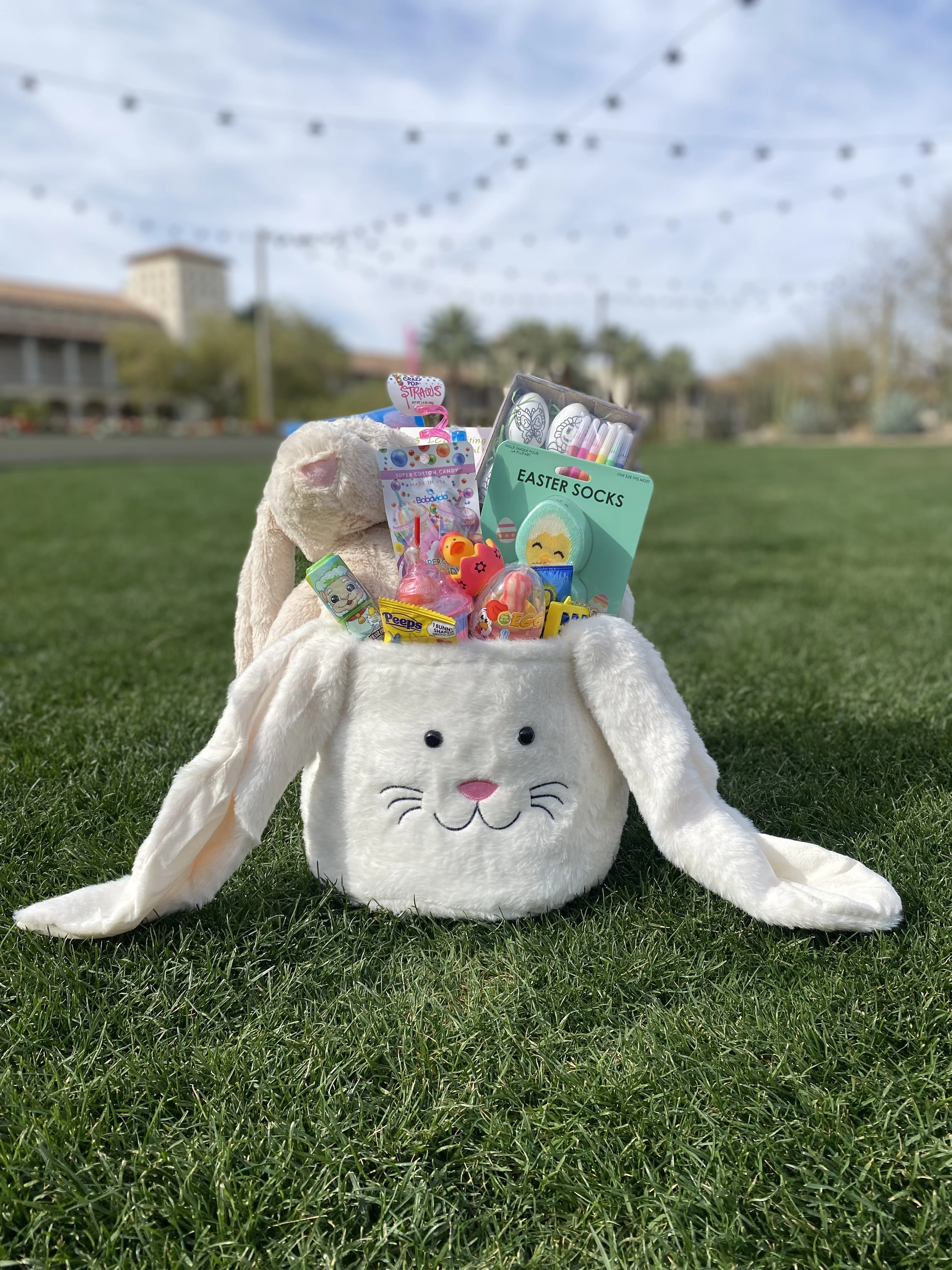 a basket of candy and a bunny