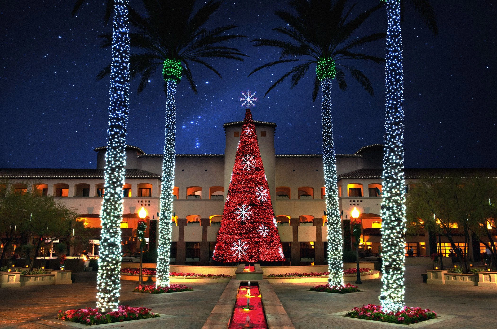 a large christmas tree with lights and palm trees