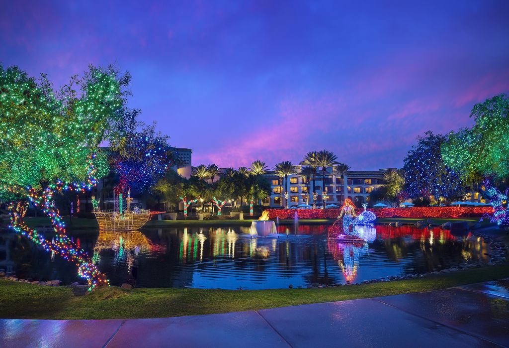 a pond with christmas lights and trees