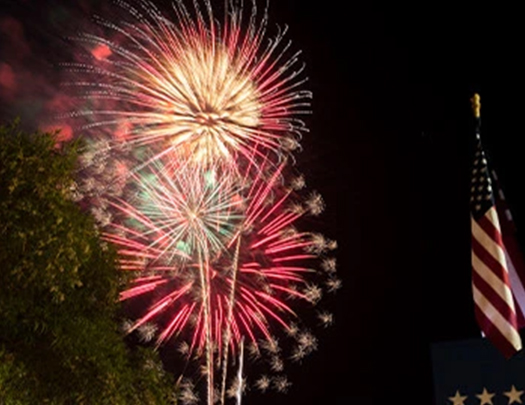 fireworks in the sky
