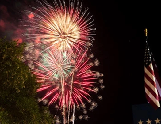 fireworks in the sky