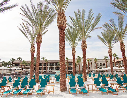 a group of palm trees and chairs