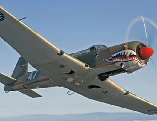 a plane flying in the sky