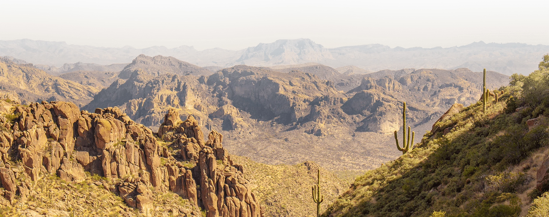 a rocky mountains with cactus