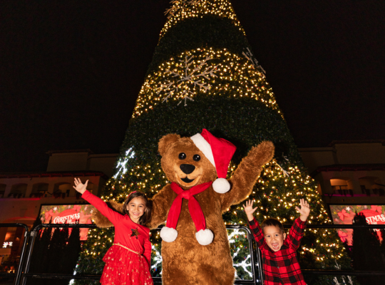 a girl and boy posing with a teddy bear in front of a christmas tree