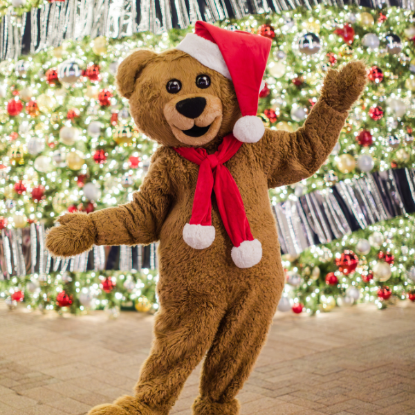 a person in a bear garment