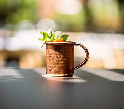 a mug with a plant in it