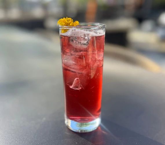a glass of red liquid with ice and a flower on top