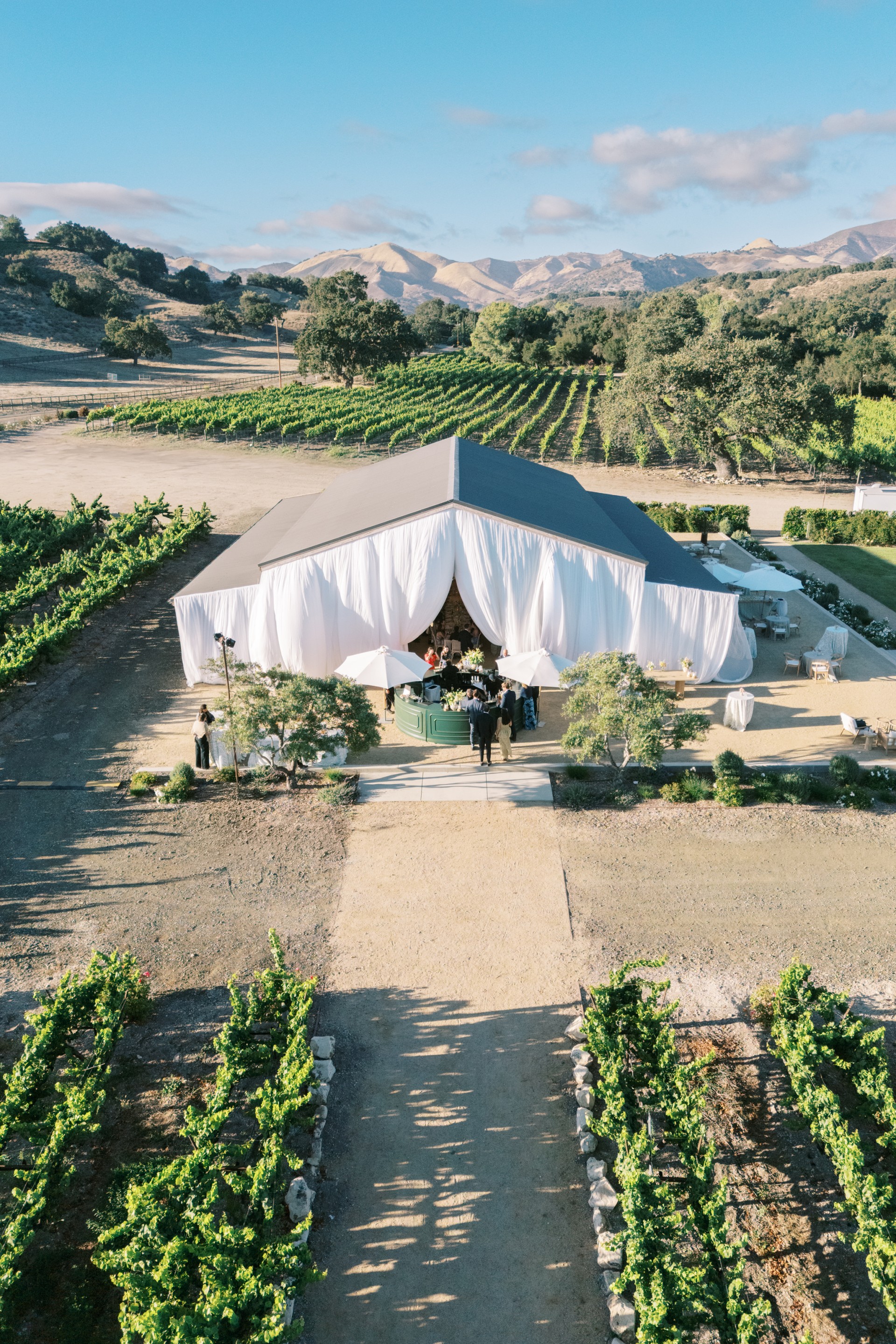 a tent with white curtains in a field of plants
