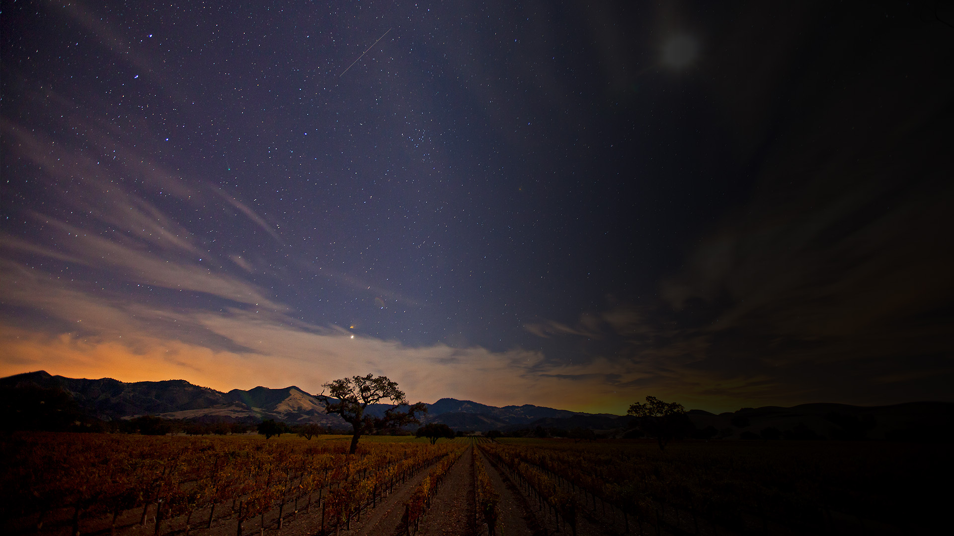 a vineyard at night with mountains in the background