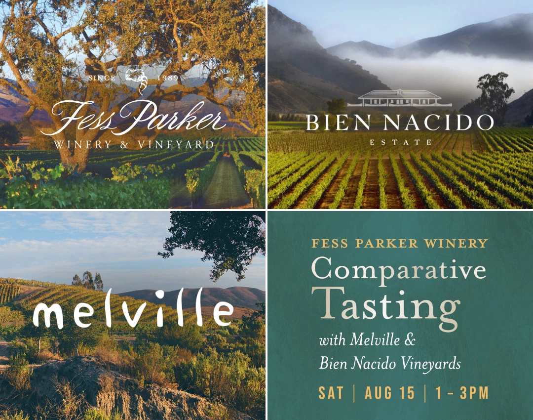  Comparative Tasting