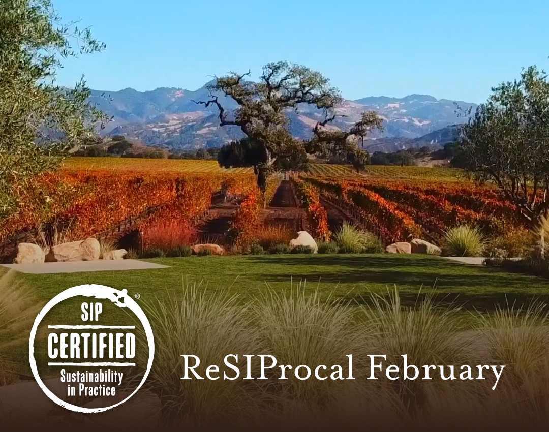  ReSIProcal February