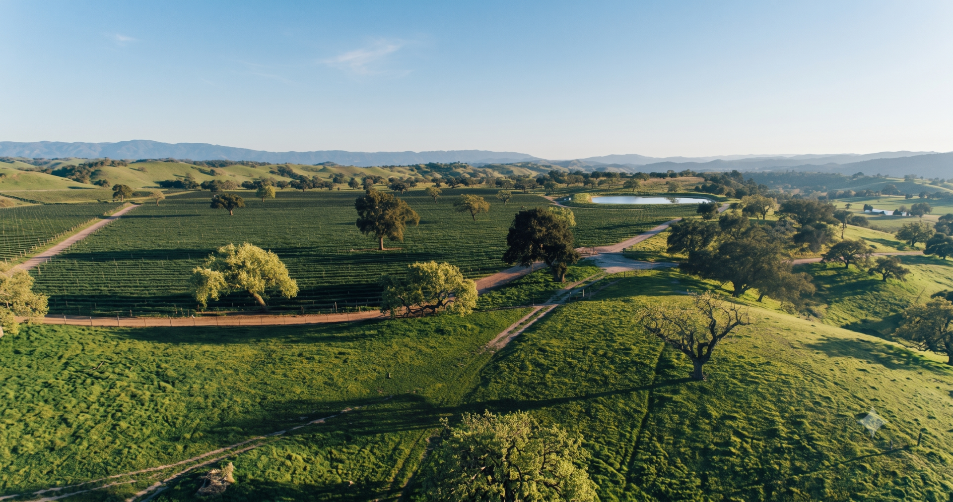 a green field with trees and a pond