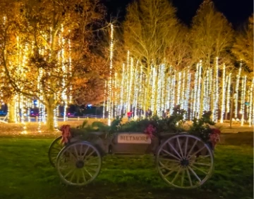a cart with flowers and lights in the background