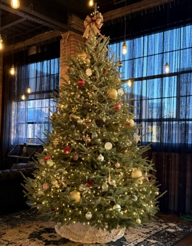 a christmas tree in a room