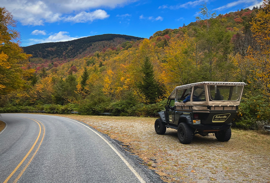 a jeep parked on a road with trees in the background