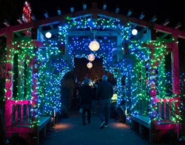 people walking under a structure with lights