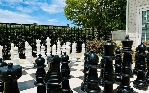 a large chess board with black and white pieces