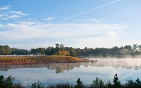 a lake with fog and trees
