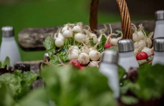 a basket of vegetables and a salt shaker