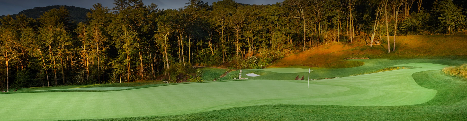 a golf course with trees in the background