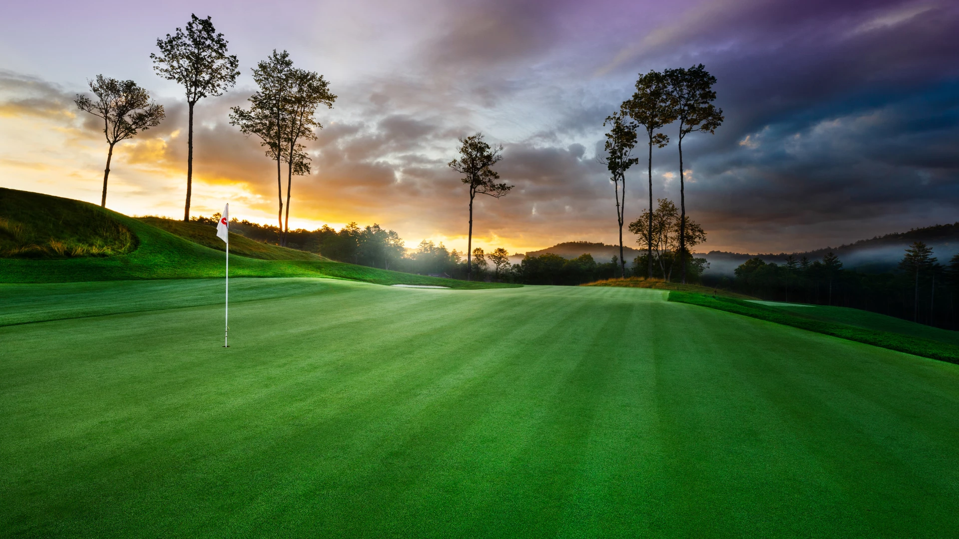 a golf course with trees and a flag