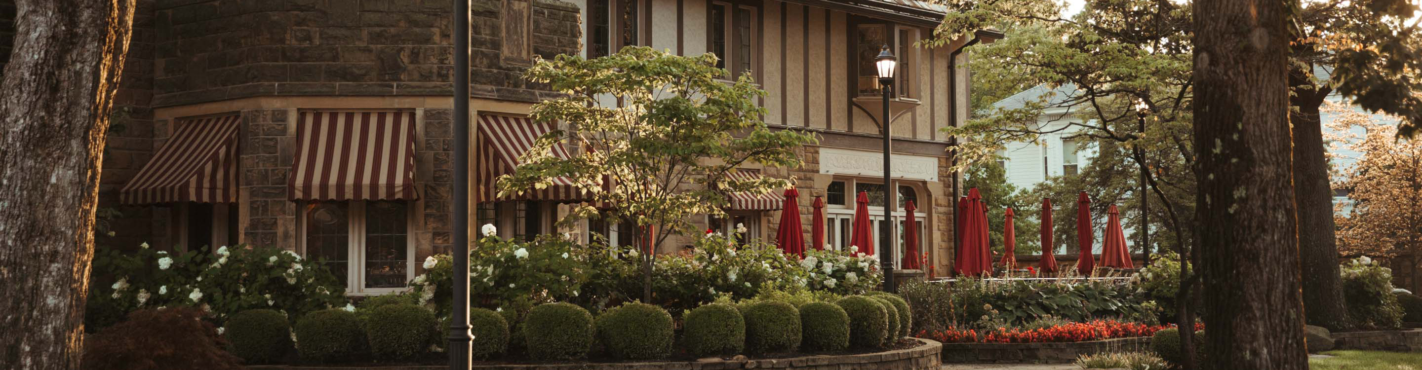 a tree in front of a building